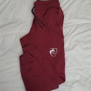 Alphalete origin joggers